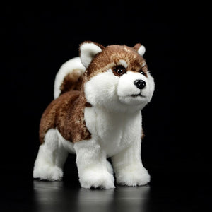 Lifelike Standing Husky Stuffed Animal Plush Toys - Silver, Black & Brown Colors-Soft Toy-Dogs, Home Decor, Siberian Husky, Soft Toy, Stuffed Animal-14