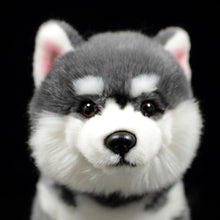 Load image into Gallery viewer, Lifelike Standing Husky Stuffed Animal Plush Toys - Silver, Black &amp; Brown Colors-Soft Toy-Dogs, Home Decor, Siberian Husky, Soft Toy, Stuffed Animal-4