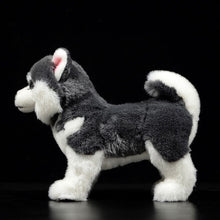 Load image into Gallery viewer, Lifelike Standing Husky Stuffed Animal Plush Toys - Silver, Black &amp; Brown Colors-Soft Toy-Dogs, Home Decor, Siberian Husky, Soft Toy, Stuffed Animal-5