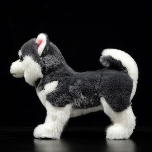Lifelike Standing Husky Stuffed Animal Plush Toys - Silver, Black & Brown Colors-Soft Toy-Dogs, Home Decor, Siberian Husky, Soft Toy, Stuffed Animal-5