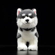 Load image into Gallery viewer, Lifelike Standing Husky Stuffed Animal Plush Toys - Silver, Black &amp; Brown Colors-Soft Toy-Dogs, Home Decor, Siberian Husky, Soft Toy, Stuffed Animal-6