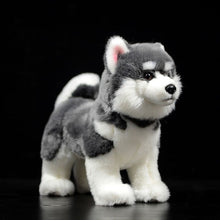 Load image into Gallery viewer, Lifelike Standing Husky Stuffed Animal Plush Toys - Silver, Black &amp; Brown Colors-Soft Toy-Dogs, Home Decor, Siberian Husky, Soft Toy, Stuffed Animal-Silver-1