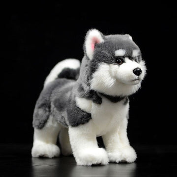 Lifelike Standing Husky Stuffed Animal Plush Toys Silver Black Brown Colors 360x