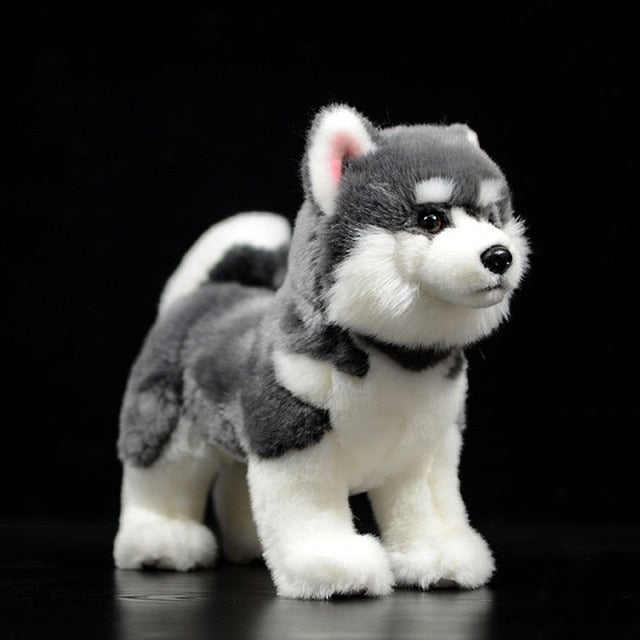 Lifelike Standing Husky Stuffed Animal Plush Toys - Silver, Black & Brown  Colors