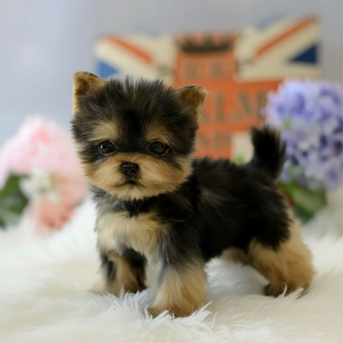 Cute and Lifelike Realistic Yorkshire Terrier Stuffed Animal with Faux Fur-Stuffed Animals-Dog Memorial Gifts,Stuffed Animal,Yorkshire Terrier-1