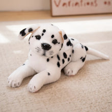 Load image into Gallery viewer, Litter of Dalmatians Stuffed Animal Plush Toys-wo white-30cm-8