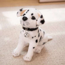 Load image into Gallery viewer, Litter of Dalmatians Stuffed Animal Plush Toys-zuo bell white-30cm-4