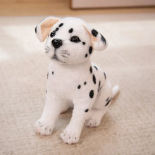 Load image into Gallery viewer, Litter of Dalmatians Stuffed Animal Plush Toys-zuo whtie-30cm-1