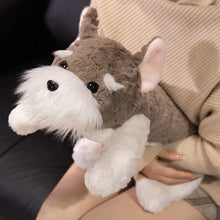 Load image into Gallery viewer, Liver and White Schnauzer Stuffed Animal Plush Toy-5