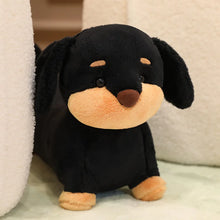Load image into Gallery viewer, Lovable Black Dachshund Stuffed Animal Plush Toy-11