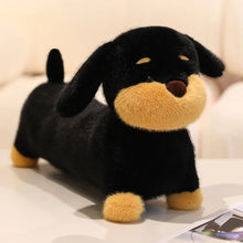 Load image into Gallery viewer, Lovable Black Dachshund Stuffed Animal Plush Toy-A-25cm-13