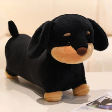 Load image into Gallery viewer, Lovable Black Dachshund Stuffed Animal Plush Toy-B-25cm-1