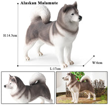 Load image into Gallery viewer, Majestic Gray and White Husky Figurine – Standing Pose-dog model 4-3