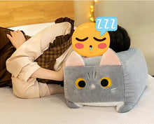 Load image into Gallery viewer, Minecraft Cat Plush - Orange and White Cat - Cube of Happiness