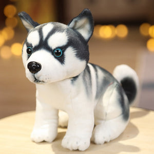 image of a cute husky stuffed animal plush toy sitting  on a couch