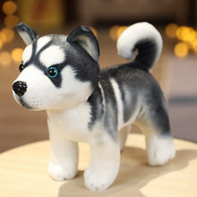 Load image into Gallery viewer, image of a cute husky stuffed animal plush toy standing on a couch