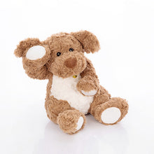 Load image into Gallery viewer, My Pittie is a Teddie Plush Toy - 5 Colors-14