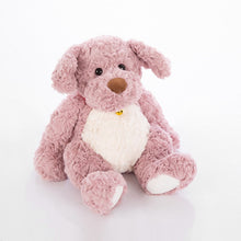 Load image into Gallery viewer, My Pittie is a Teddie Plush Toy - 5 Colors-Medium-Pink-4