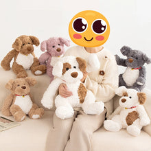 Load image into Gallery viewer, My Pittie is a Teddie Plush Toys - 5 Colors-Stuffed Animals-Home Decor, Pit Bull, Stuffed Animal-1