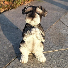 Load image into Gallery viewer, A small black-and-white schnauzer dog figurine sitting on a gray stone pathway outdoors, with white flowers and green grass in the background.