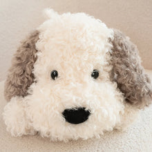Load image into Gallery viewer, Close-up of a fluffy toy dog with a neutral background