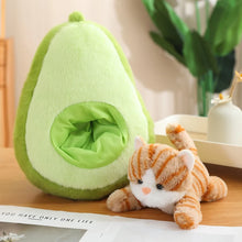 Load image into Gallery viewer, Orange and Grey Tabby Cat in Fruit Soft Plush Toys-10