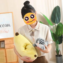 Load image into Gallery viewer, Orange and Grey Tabby Cat in Fruit Soft Plush Toys-Cats-Cat Memorial Gifts,Stuffed Animal,Tabby Cat-2