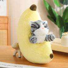 Load image into Gallery viewer, Orange and Grey Tabby Cat in Fruit Soft Plush Toys-Grey Cat Banana-Cat30cm Fruit45cm-16