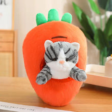 Load image into Gallery viewer, Orange and Grey Tabby Cat in Fruit Soft Plush Toys-Grey Cat Carrot-Cat30cm Fruit45cm-15