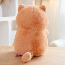 Load image into Gallery viewer, Orange and White Cat Plush Toy - Chunky Fat Fish Loving Cat-19