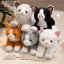 Load image into Gallery viewer, Orange and White Cat Stuffed Animal Plush Toy - Belly Flop Design-3