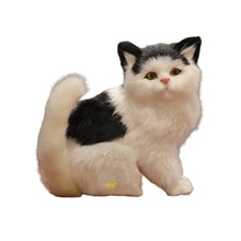 Load image into Gallery viewer, Orange and White Persian Cat plush - Sweet Chubby Cheeks-3