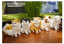 Load image into Gallery viewer, Orange and White Persian Cat plush - Sweet Chubby Cheeks-7
