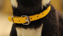 Load image into Gallery viewer, Orange Collar Beagle Stuffed Animal Hard Plush Toy-21