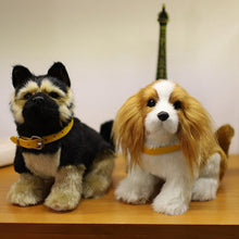 Load image into Gallery viewer, Orange Collar Cavalier King Charles Spaniel Stuffed Animal Hard Plush Toy-14