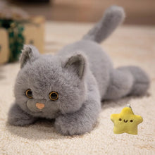 Load image into Gallery viewer, Orange Tabby and White Cat Stuffed Animal - Little Pink Heart Nose - Blue Eyes-8