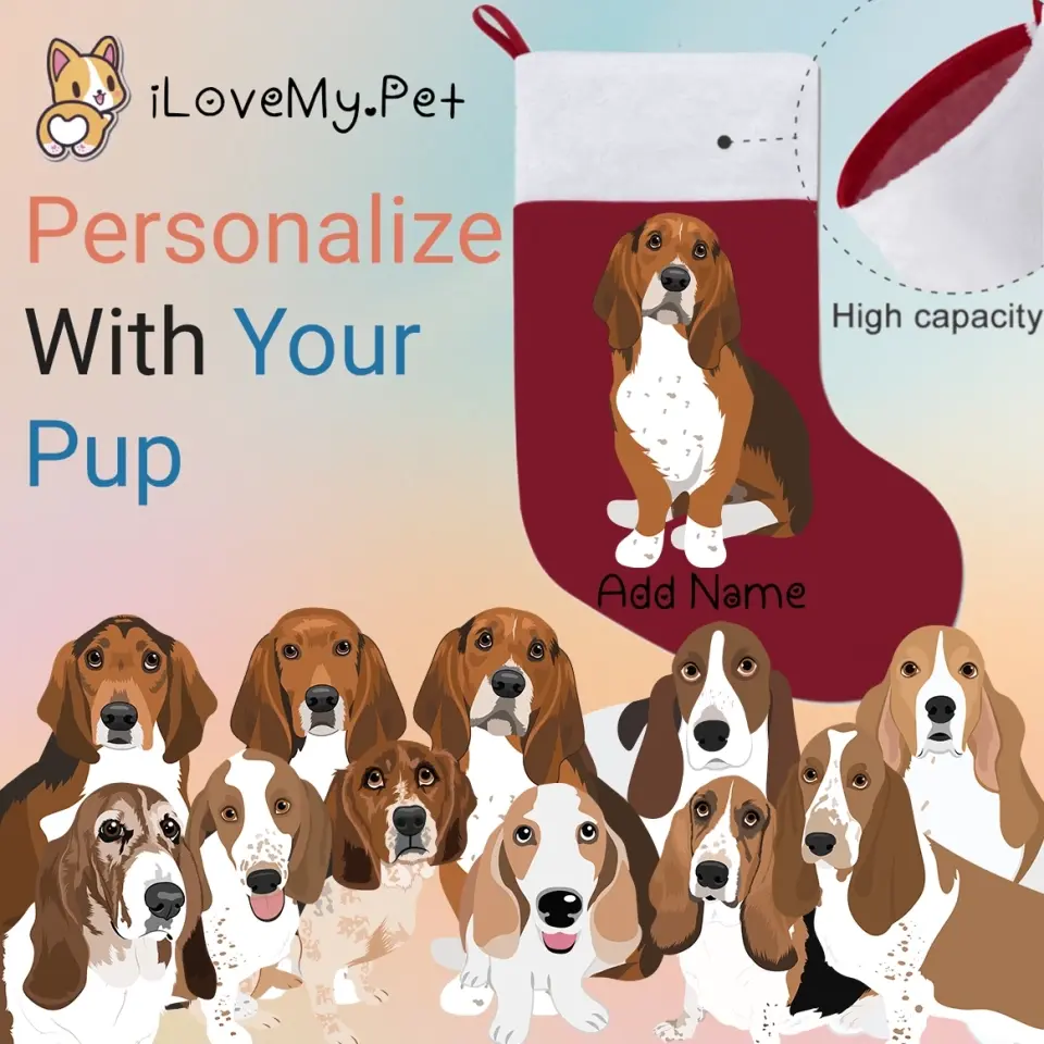 40 Basset Hound Gifts for Basset Hound Lovers