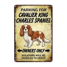 Load image into Gallery viewer, Personalized Cavalier King Charles Spaniel Sign - Funny Parking Sign - Match Your Dog’s Coat Color-Sign Board-Car Accessories,Cavalier King Charles Spaniel,Sign Board-Small-7