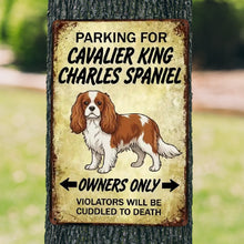Load image into Gallery viewer, Personalized Cavalier King Charles Spaniel Sign - Funny Parking Sign - Match Your Dog’s Coat Color-Sign Board-Car Accessories,Cavalier King Charles Spaniel,Sign Board-1