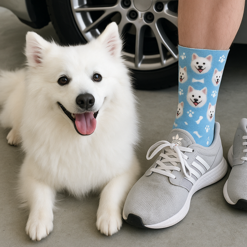 Personalized Custom American Eskimo Dog Socks-Accessories-Accessories,American Eskimo Dog,Dog Dad Gifts,Dog Mom Gifts,Socks,Upload Photo-1