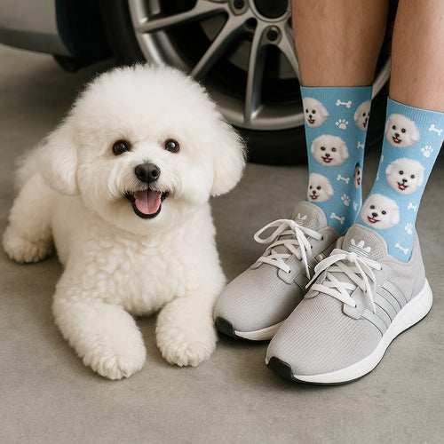 Personalized Custom Bichon Frise Socks-Accessories-Accessories,Bichon Frise,Dog Dad Gifts,Dog Mom Gifts,Socks,Upload Photo-1