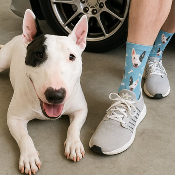Personalized Custom Bull Terrier Socks 360x