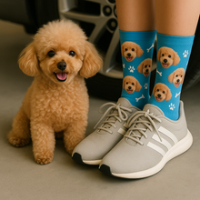 Load image into Gallery viewer, Personalized Custom Doodle Socks-Accessories-Accessories,Dog Dad Gifts,Dog Mom Gifts,Doodle,Labradoodle,Socks,Toy Poodle,Upload Photo-1