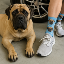 Load image into Gallery viewer, Personalized Custom English Mastiff Socks-Accessories-Accessories,Dog Dad Gifts,Dog Mom Gifts,English Mastiff,Socks,Upload Photo-1