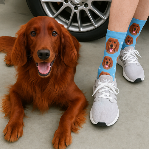 Personalized Custom Irish Setter Socks-Accessories-Accessories,Dog Dad Gifts,Dog Mom Gifts,Irish Setter,Socks,Upload Photo-1