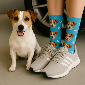 Personalized Custom Jack Russell Terrier Socks 360x