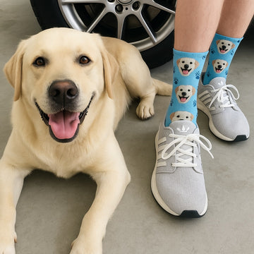 Personalized Custom Labrador Socks 360x