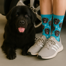 Load image into Gallery viewer, Personalized Custom Newfoundland Dog Socks-Accessories-Accessories,Dog Dad Gifts,Dog Mom Gifts,Newfoundland,Socks,Upload Photo-1