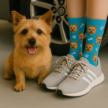 Load image into Gallery viewer, Personalized Custom Norwich Terrier Socks-Accessories-Accessories,Dog Dad Gifts,Dog Mom Gifts,Norwich Terrier,Socks,Upload Photo-1