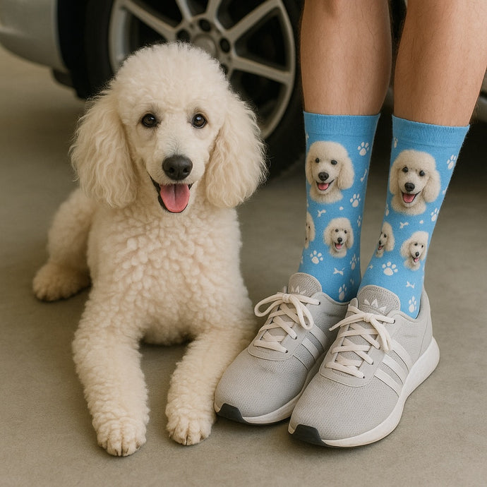 Personalized Custom Poodle Socks-Accessories-Accessories,Dog Dad Gifts,Dog Mom Gifts,Poodle,Socks,Upload Photo-1